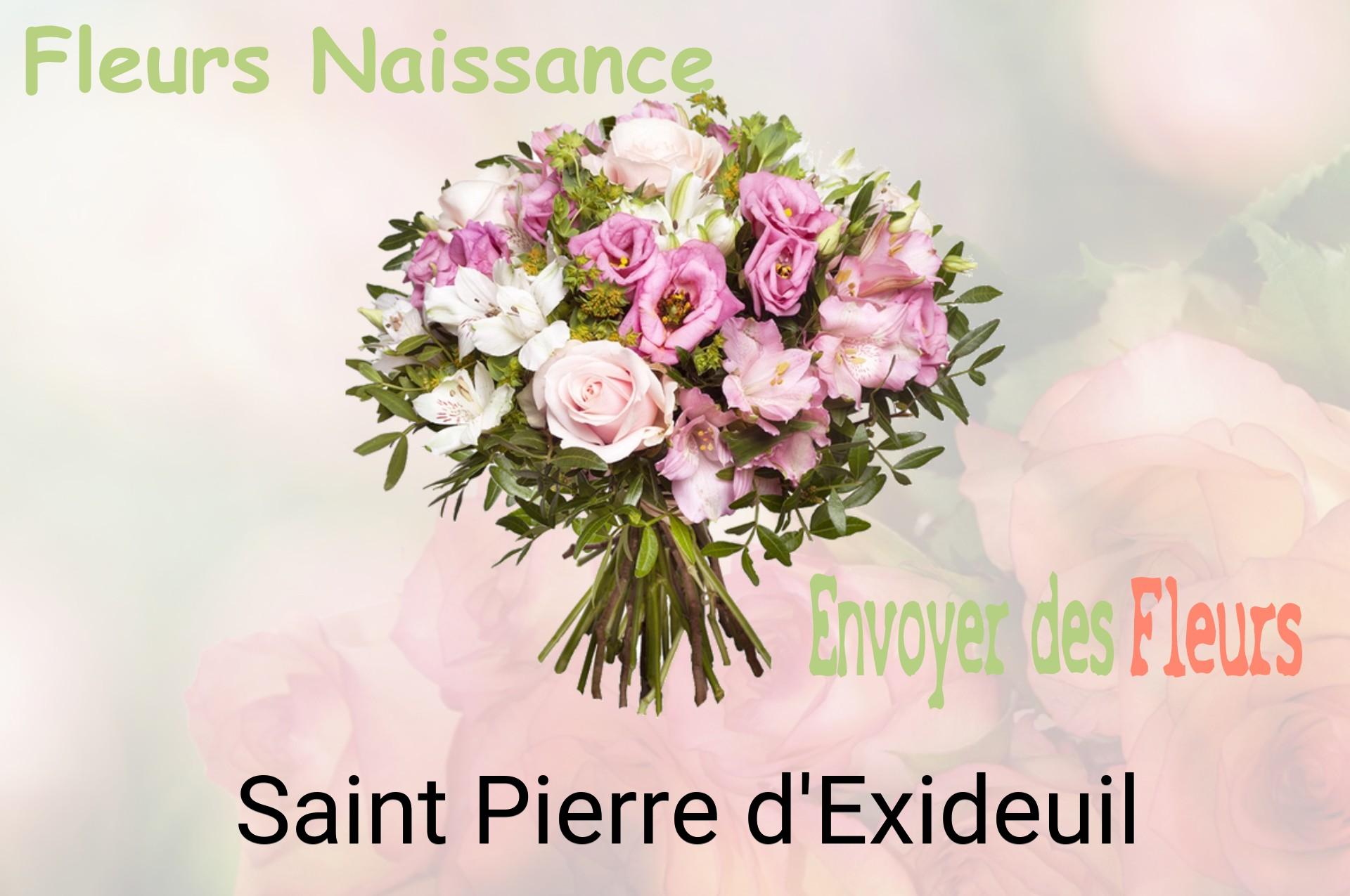 Bouquet de fleurs de naissance livré à Saint-Pierre-d'Exideuil